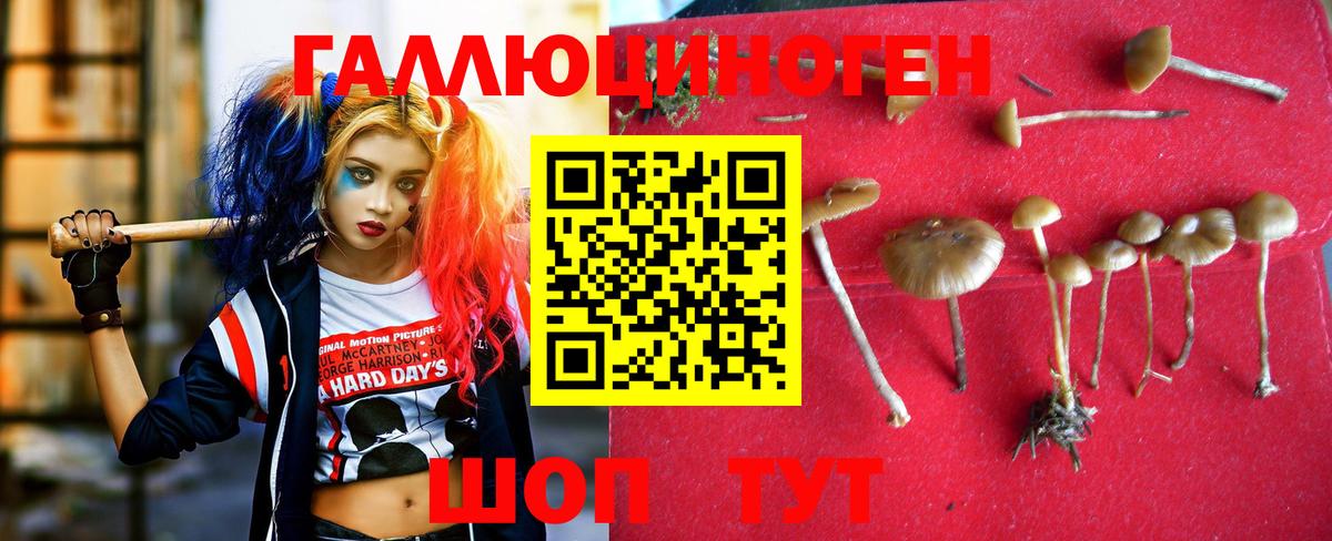 Галлюциногенные грибы прущие грибы Конаково