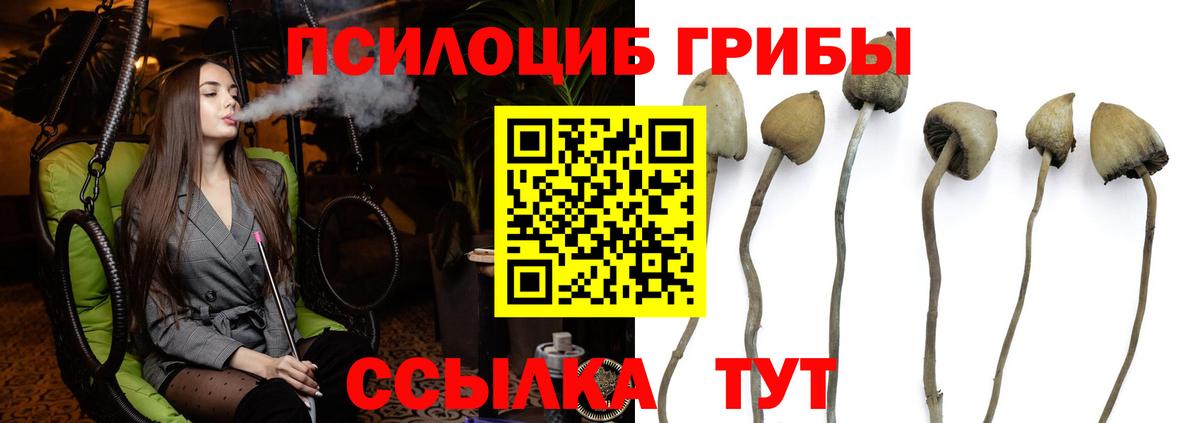 Псилоцибиновые грибы Cubensis  Псилоцибиновые грибы MAGIC MUSHROOMS  Вход с VPN  Конаково 